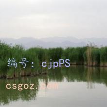 ͳ